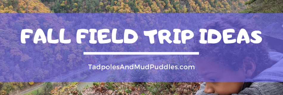 fall field trip ideas