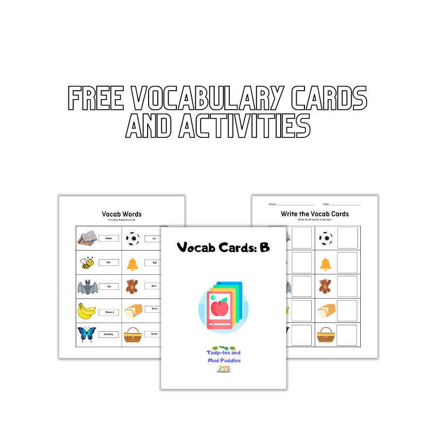 Free vocabulary cards and activities