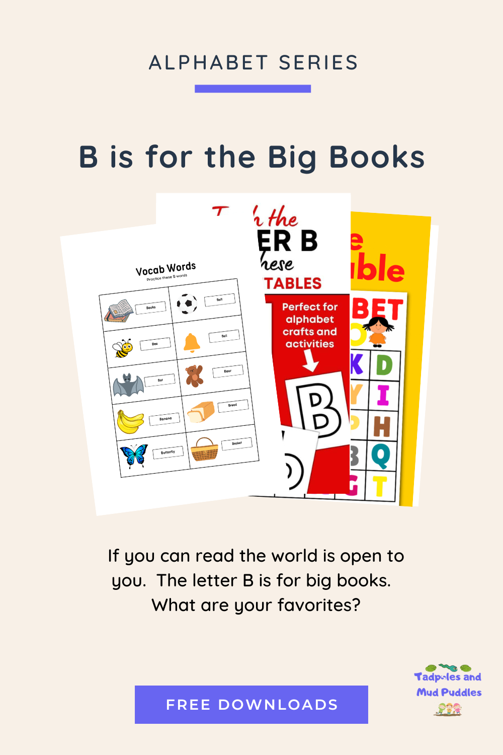 Alphabet Series -  B is for Big Books