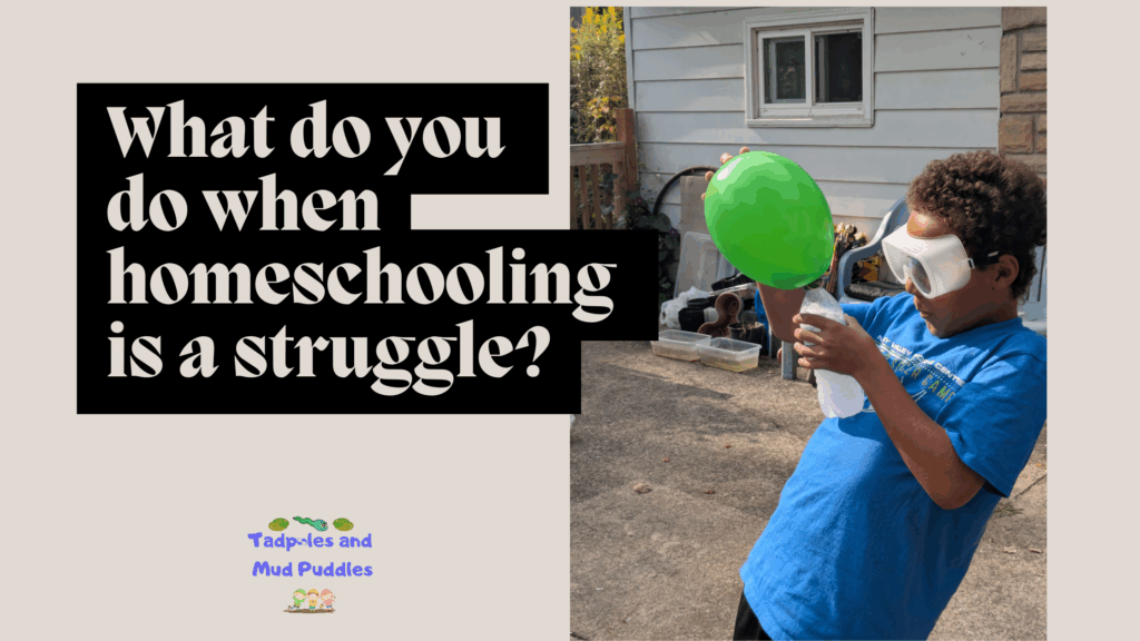What do you do when homeschooling is a struggle