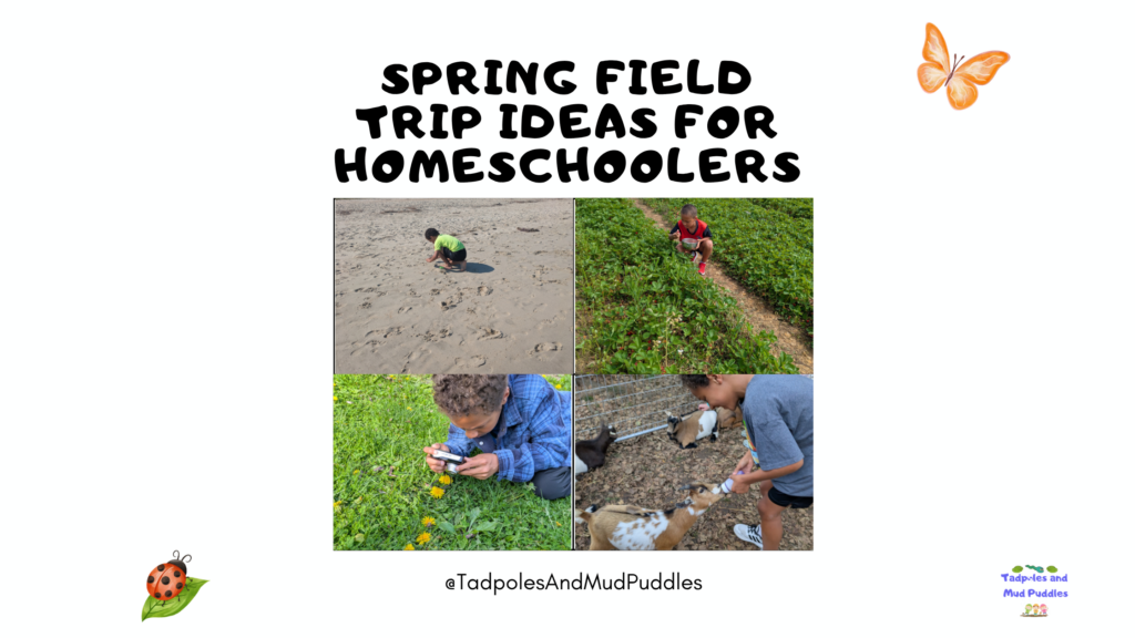 Spring Field Trip Ideas for Homeschoolers
